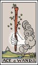 ace of wands tarot card