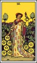 nine of pentacles tarot card